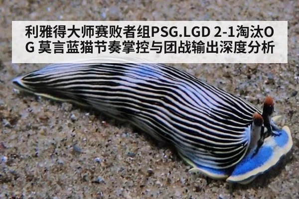 利雅得大师赛败者组PSG.LGD 2-1淘汰OG 莫言蓝猫节奏掌控与团战输出深度分析